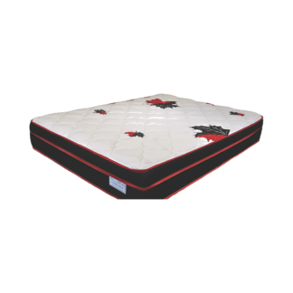 Parkview Mattress